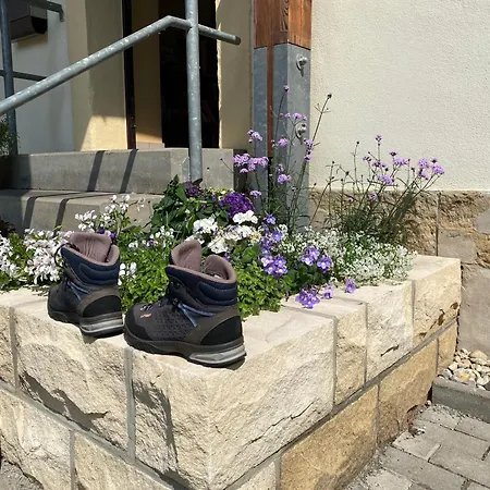 Appartamento Apartmenthaus Zentral Bad Schandau