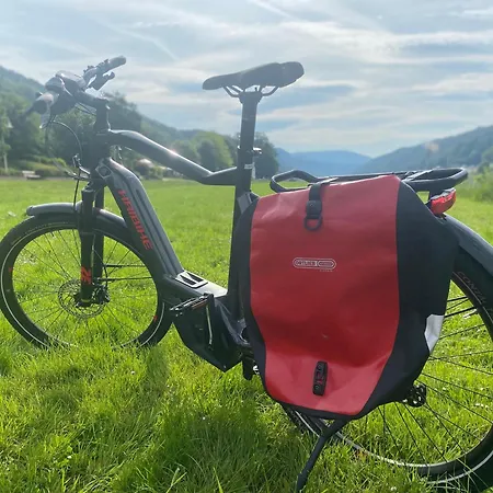 Apartmenthaus Zentral Bad Schandau