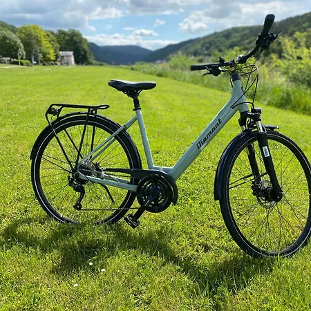 Apartamento Apartmenthaus Zentral *