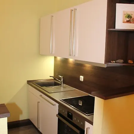 Apartmenthaus Zentral Lejlighed *